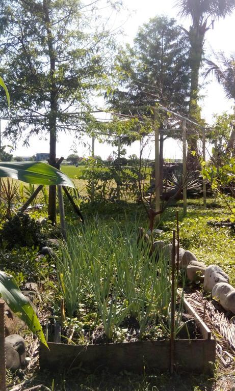 Hasayaki Homestay Sanxing Exterior foto