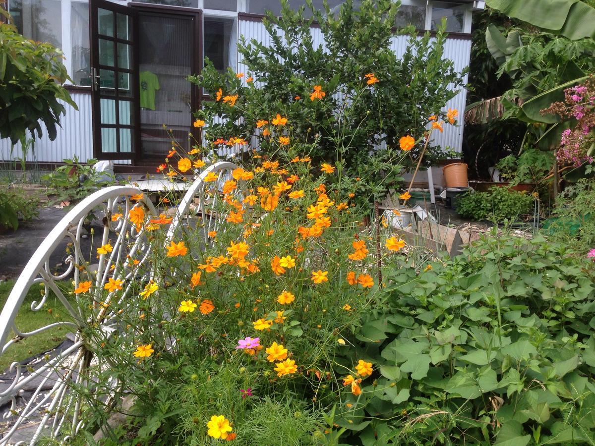 Hasayaki Homestay Sanxing Exterior foto