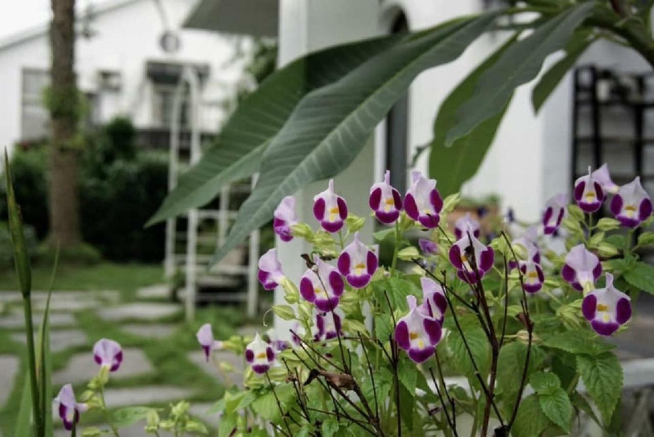 Hasayaki Homestay Sanxing Exterior foto